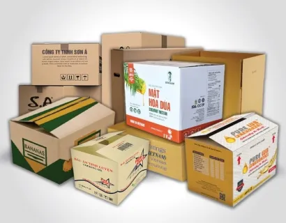 Sản phẩm z60124167799008c32ba6da73a3f1686fc857ad6559c54 3813 — Công Ty TNHH Bao Bì Minh Ngọc — MST 0313694927