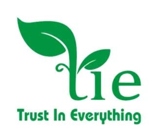 Logo Công Ty TNHH Tie Việt Nam