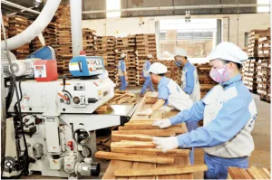 Sản phẩm Anh chup Man hinh 2023 03 16 luc 17.07.13 300x199 — Công Ty TNHH Tie Việt Nam — MST 0313699019