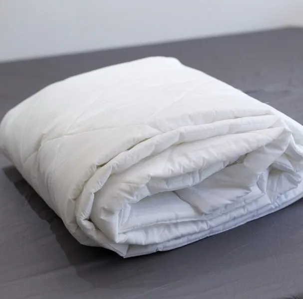 Sản phẩm Ruột mền mỏng STANDARD1 e1774607687621 — Công Ty TNHH Young Rice — MST 0313700401