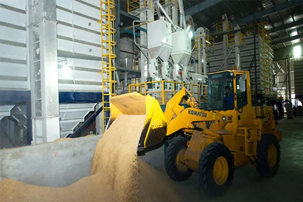 Sản phẩm hinhcty3 — Công Ty TNHH Sản Xuất Xuất Nhập Khẩu Lương Thực Trường Thuận Phú — MST 0313705992