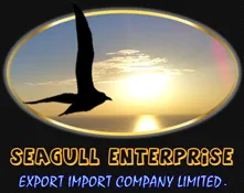 Logo Công Ty TNHH Xuất Nhập Khẩu Seagull Enterprise
