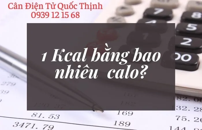 Sản phẩm 1 kcal bang bao nhieu calo  thuc pham tot cho nguoi giam can _s2394 — Cân Điện Tử Quốc Thịnh - Công Ty TNHH Sản Xuất - Thương Mại - Dịch Vụ Cân Điện
Tử Quốc Thịnh — MST 0313712044