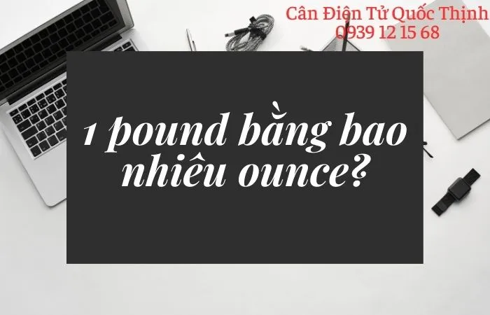 Sản phẩm quy doi pound sang ounce don gian  chinh xac  2023_s2391 — Cân Điện Tử Quốc Thịnh - Công Ty TNHH Sản Xuất - Thương Mại - Dịch Vụ Cân Điện
Tử Quốc Thịnh — MST 0313712044
