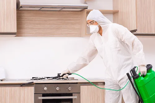 Sản phẩm chon dich vu disinfection — Công Ty TNHH BTASKEE — MST 0313723825
