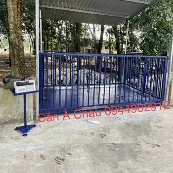 Sản phẩm can dong vat1 — Công Ty TNHH Cân Điện Tử á Châu — MST 0313729390