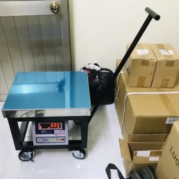 Sản phẩm can ghe ngoi xe day — Công Ty TNHH Cân Điện Tử á Châu — MST 0313729390