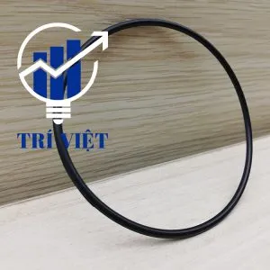 Sản phẩm ron máy bơm quận 12 300x300 — Công Ty Trách Nhiệm Hữu Hạn Thương Mại Dịch Vụ Kỹ Thuật Điện Trí Việt — MST 0313737962