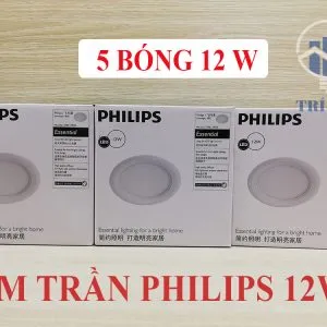 Sản phẩm 5 bóng đèn âm trần philip tại quận 12 300x300 — Công Ty Trách Nhiệm Hữu Hạn Thương Mại Dịch Vụ Kỹ Thuật Điện Trí Việt — MST 0313737962