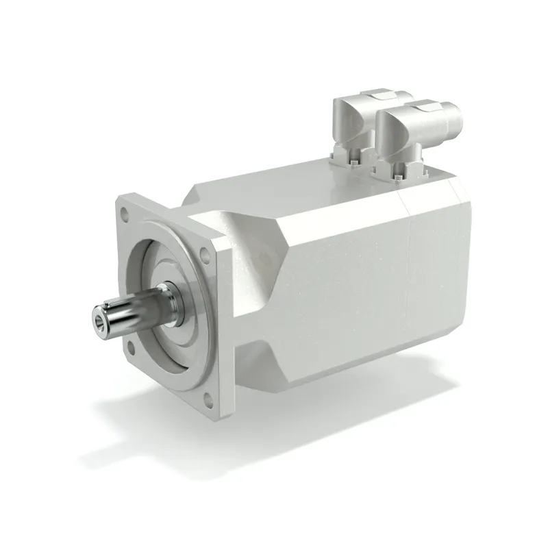 Sản phẩm bmd___servo_motors — Công Ty TNHH Kỹ Thuật Long Minh (LONG MINH TECH) — MST 0313741990