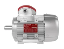 Sản phẩm dong_co_dien_chiu_nhiet_motive — Công Ty TNHH Kỹ Thuật Long Minh (LONG MINH TECH) — MST 0313741990