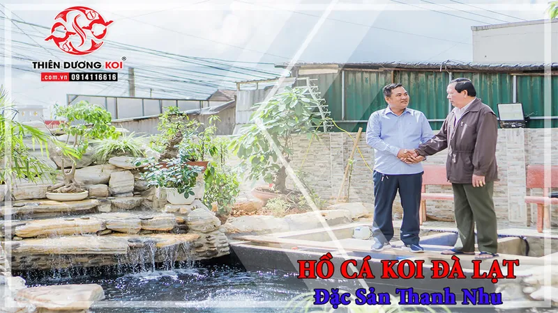Sản phẩm Ho koi chi nhu 1 — Công Ty TNHH Thương Mại Dịch Vụ Thiên Dương Koi — MST 0313764275