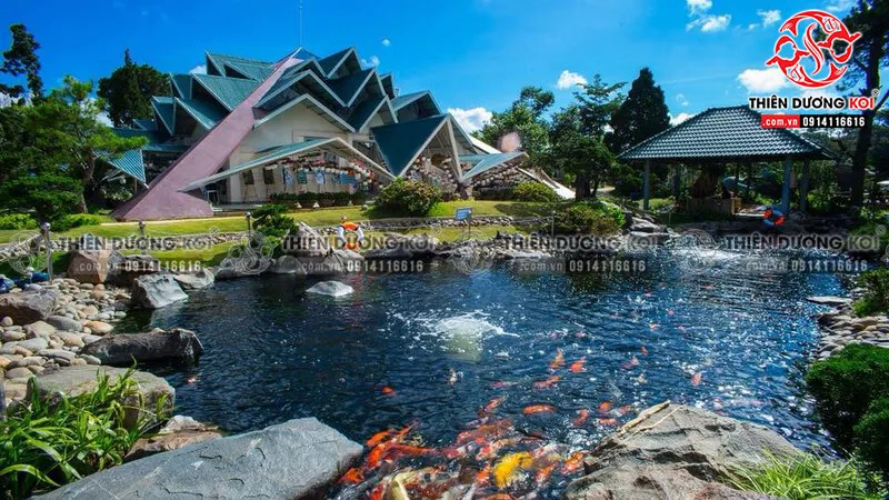 Sản phẩm la phong hostel da lat — Công Ty TNHH Thương Mại Dịch Vụ Thiên Dương Koi — MST 0313764275