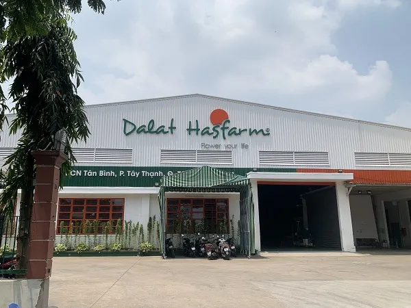 Sản phẩm DALATFAMS — Phương Trang Window - Công Ty TNHH Phương Trang Window — MST 0313766699