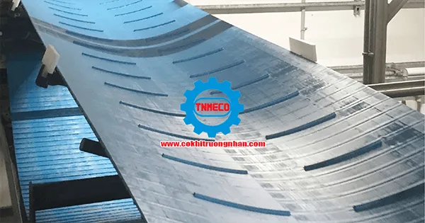 Sản phẩm bang tai cao su long mang 1 — Công Ty TNHH MTV Cơ Khí Trường Nhân — MST 0313770286