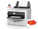 Sản phẩm 240354399442 — Công Ty TNHH Một Thành Viên Máy In Toàn Tâm — MST 0313779803