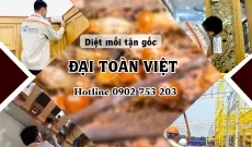 Văn phòng Công Ty TNHH Trừ Mối Và Côn Trùng Đại Toàn Việt #7111 — MST 0313792240