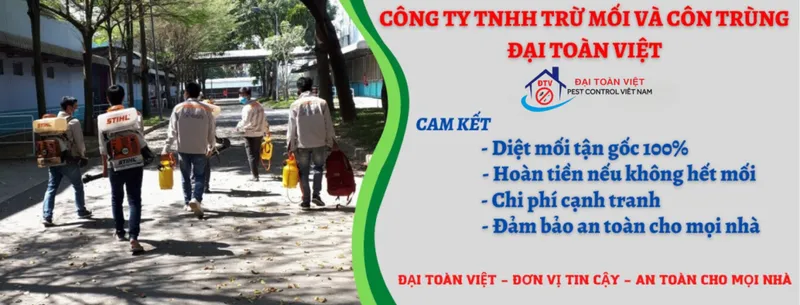 Sản phẩm diet moi dtv web1 85800 — Công Ty TNHH Trừ Mối Và Côn Trùng Đại Toàn Việt — MST 0313792240