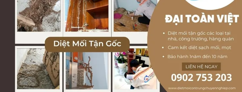 Sản phẩm diet moi mot 5686 9772 — Công Ty TNHH Trừ Mối Và Côn Trùng Đại Toàn Việt — MST 0313792240