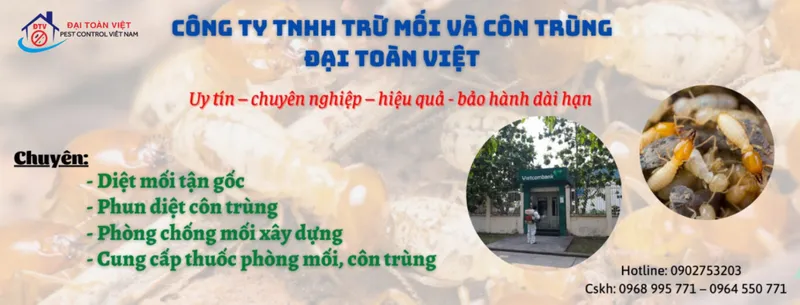 Sản phẩm diet moi web2 9659 — Công Ty TNHH Trừ Mối Và Côn Trùng Đại Toàn Việt — MST 0313792240