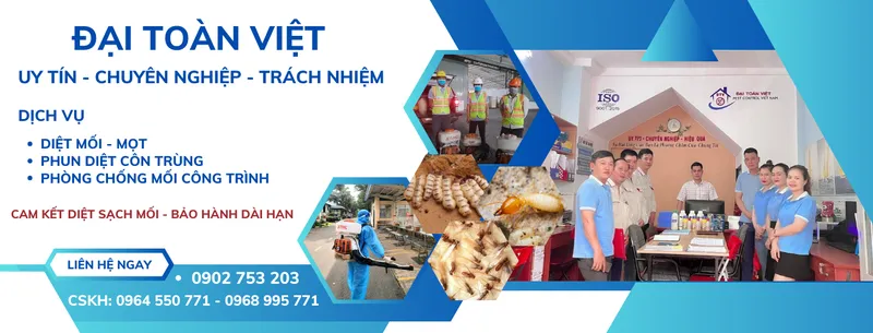 Sản phẩm dietmoiidtv1 3505 — Công Ty TNHH Trừ Mối Và Côn Trùng Đại Toàn Việt — MST 0313792240