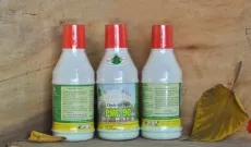 Sản phẩm thuoc diet moi tan goc pmc 90 9865 — Công Ty TNHH Trừ Mối Và Côn Trùng Đại Toàn Việt — MST 0313792240