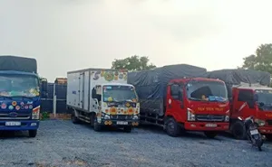 Sản phẩm cho thue xe tai quan 2 — Vận Tải Vạn Tiến Phát - Công Ty TNHH MTV Vận Tải Vạn Tiến Phát — MST 0313792970