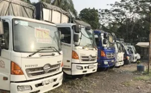 Sản phẩm dich vu cho thue xe tai gia re — Vận Tải Vạn Tiến Phát - Công Ty TNHH MTV Vận Tải Vạn Tiến Phát — MST 0313792970