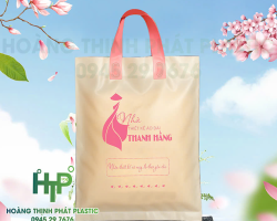 Sản phẩm 1 1759197369.jpg — Bao Bì Nhựa Hoàng Thịnh Phát - Công Ty TNHH Sản Xuất In Bao Bì Hoàng Thịnh Phát
Plastic — MST 0313795410