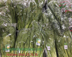 Sản phẩm 534133525970.png — Bao Bì Nhựa Hoàng Thịnh Phát - Công Ty TNHH Sản Xuất In Bao Bì Hoàng Thịnh Phát
Plastic — MST 0313795410