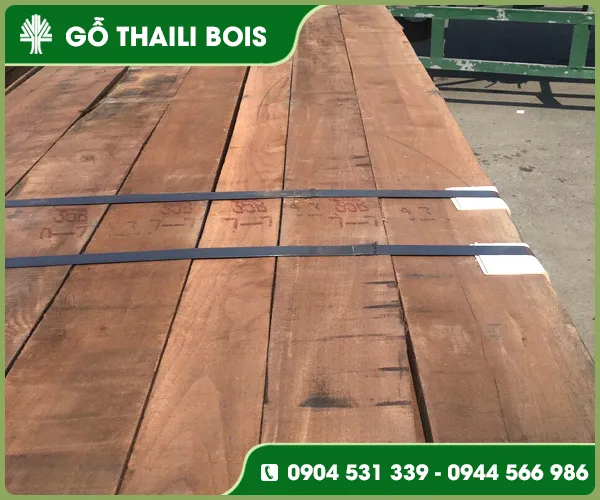Sản phẩm go oc cho (3) — Gỗ Thaili Bois - Công Ty TNHH Thaili Bois — MST 0313797055