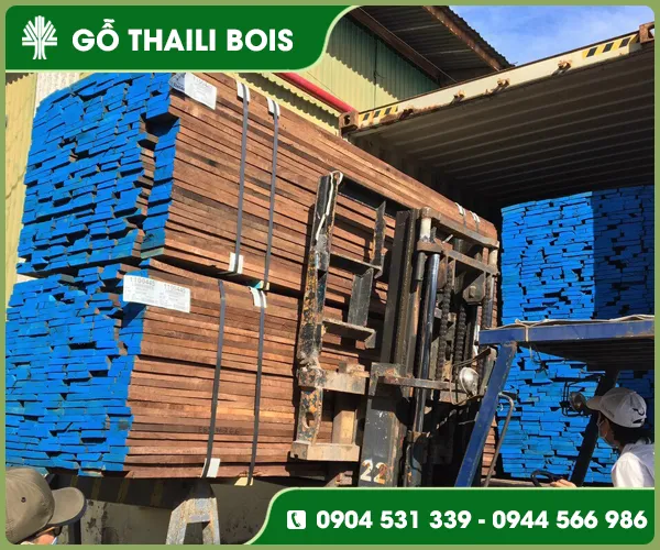 Sản phẩm go oc cho (4) — Gỗ Thaili Bois - Công Ty TNHH Thaili Bois — MST 0313797055