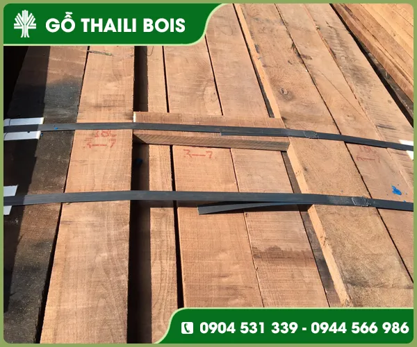 Sản phẩm go oc cho (8) — Gỗ Thaili Bois - Công Ty TNHH Thaili Bois — MST 0313797055