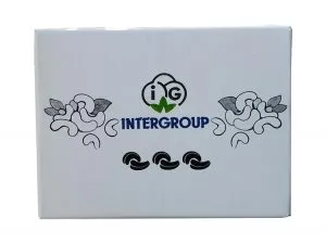 Sản phẩm 7 300x225 — Công Ty TNHH In Bao Bì Thiên Đăng — MST 0313809247
