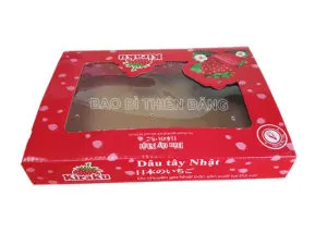 Sản phẩm hop dau tay02018 300x225 — Công Ty TNHH In Bao Bì Thiên Đăng — MST 0313809247