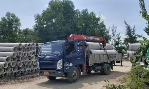 Văn phòng Công Ty TNHH Thuận Nhiên An #2 — MST 0313846739