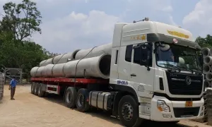 Văn phòng Công Ty TNHH Thuận Nhiên An #3 — MST 0313846739