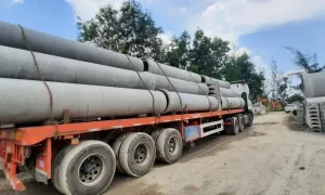 Văn phòng Công Ty TNHH Thuận Nhiên An #2 — MST 0313846739