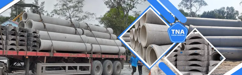 Sản phẩm 2710815443122741366x400 46430 — Công Ty TNHH Thuận Nhiên An — MST 0313846739