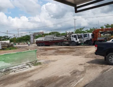 Sản phẩm giza duc hoa 8876 — Công Ty TNHH Thuận Nhiên An — MST 0313846739