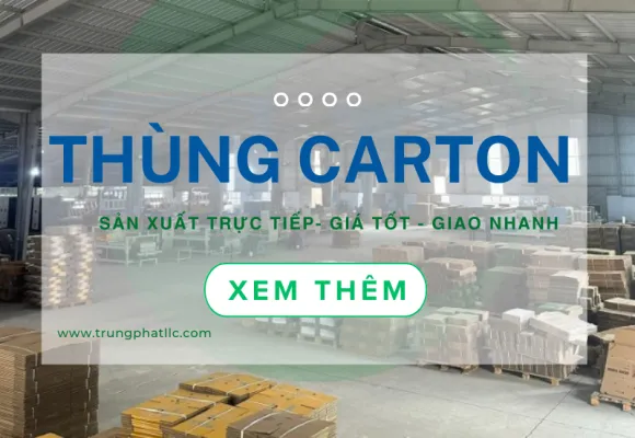 Sản phẩm thung carton 1757647021.png — Thùng Carton Trung Phát - Công Ty TNHH Sản Xuất Thương Mại Xuất Nhập Khẩu Trung
Phát — MST 0313846961