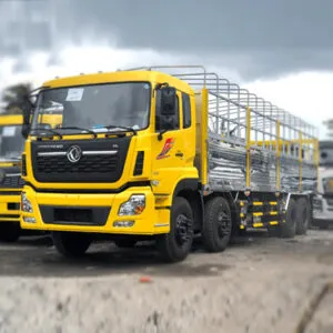 Sản phẩm 27 300x300 — Công Ty TNHH Hoàng Phi Hải — MST 0313848119