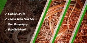 Sản phẩm phe lieu 1 300x150 — Mua Phế Liệu 24H - Công Ty TNHH Thu Gom Phế Liệu Và Kinh Doanh Sắt Thép E1 — MST 0313857314