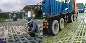 Sản phẩm be_tong_trong_co1 — Công Ty TNHH Một Thành Viên Vinagfrc — MST 0313864512