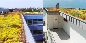 Sản phẩm gdfdgh1 — Công Ty TNHH Một Thành Viên Vinagfrc — MST 0313864512