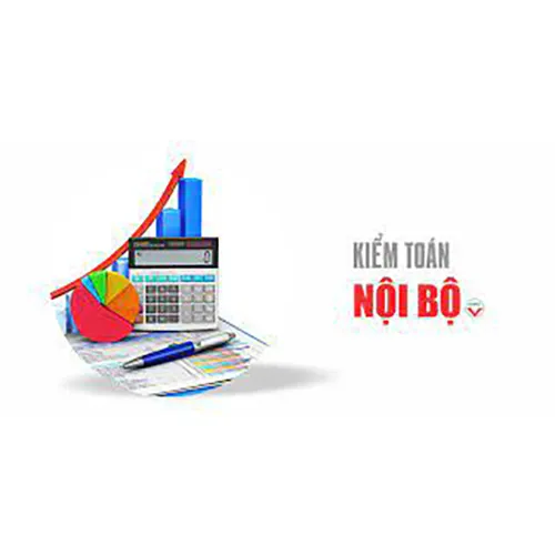 Sản phẩm kiem toan noi bo — Kế Toán Thuế Sài Gòn - Công Ty TNHH MTV Đào Tạo Và Tư Vấn Đầu Tư Sài Gòn — MST 0313875874
