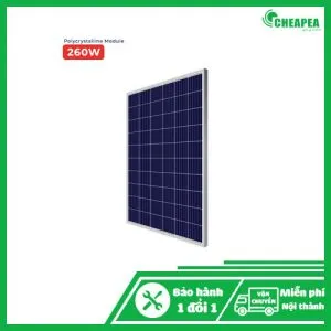 Sản phẩm 52 300x300 — Công Ty TNHH Thương Mại Dịch Vụ Cheapea — MST 0313890417