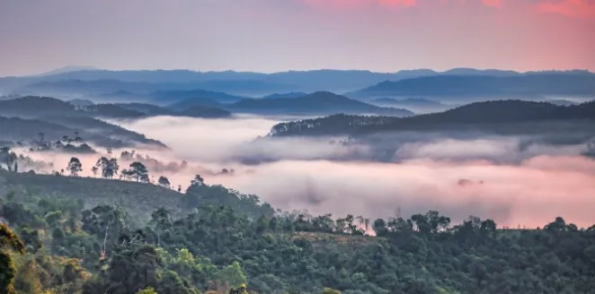 Sản phẩm MANG DEN — SaigonQueen Travel - Công Ty TNHH Du Lịch Truyền Thông Và Sự Kiện SaigonQueen — MST 0313892005