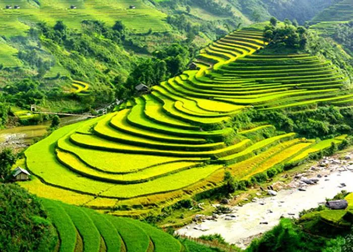 Sản phẩm SAPA1 — SaigonQueen Travel - Công Ty TNHH Du Lịch Truyền Thông Và Sự Kiện SaigonQueen — MST 0313892005
