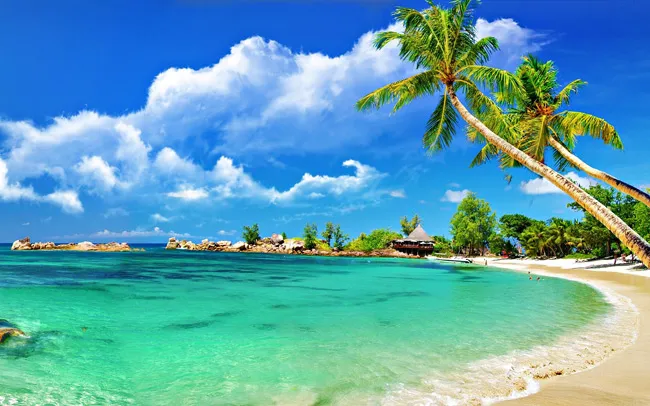 Sản phẩm BAIDAIPHUQUOC — SaigonQueen Travel - Công Ty TNHH Du Lịch Truyền Thông Và Sự Kiện SaigonQueen — MST 0313892005